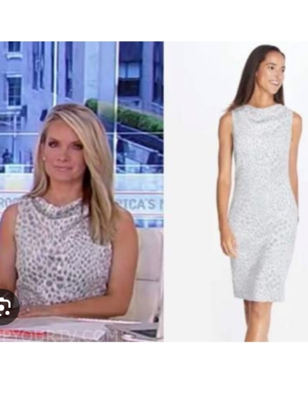 J McLaughlin As seen on TV Delilah Faux Suede Safari Gray Leopard Dress Size M